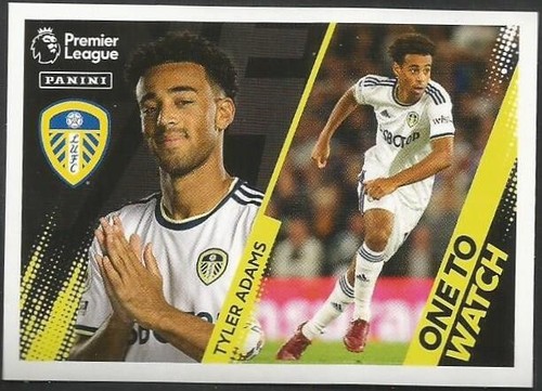 Panini 2023 premier league - panini, league-
